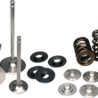 Load image into Gallery viewer, Ferrea 09-13 VW 2.0T TSI / 15-16 VW Golf R 2.0T TSI Single Spring Kit