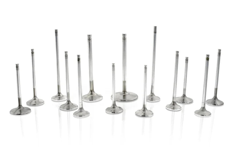 Ferrea Acura K20 36mm 5.47mm 109.3mm 20 Deg S-Flo +1mm Competition Plus Intake Valve - Set of 8 - Main Product View