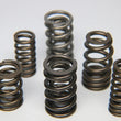 Load image into Gallery viewer, Ferrea Infiniti VR30DDTT Single Valve Spring - Set of 24