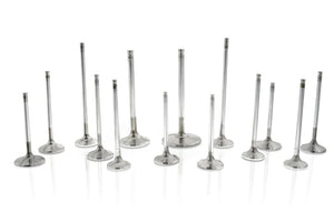 Ferrea Mitsubishi 6G72/6G72T 35mm 6.57mm 106.35mm 25 Deg S-Flo Stk Comp Plus Int Valve - Set of 12 - Main Product View