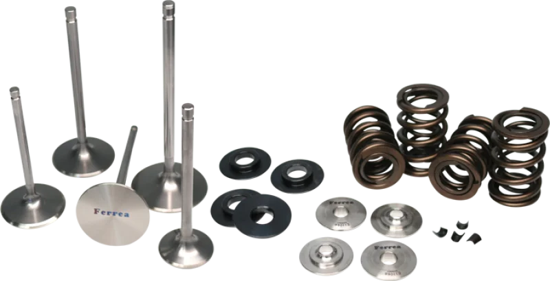 Ferrea Subaru WRX STI Endurance Dual Spring Kit