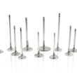 Load image into Gallery viewer, Ferrea Toyota G16E-GTS 32.8mm Head 5.47mm Stem Dia Competition Plus Intake Valve - Set of 6