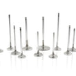 Load image into Gallery viewer, Ferrea Toyota Supra B58 3.0L 28.5mm 5.96mm 99.8mm 21 Deg Tpr Flo STD Comp Plus Exh Valve - Set of 12 - Main Product View