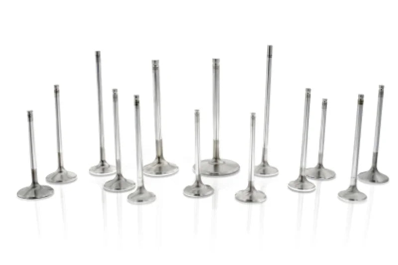 Ferrea Toyota Supra B58 3.0L 28.5mm 5.96mm 99.8mm 21 Deg Tpr Flo STD Comp Plus Exh Valve - Set of 12 - Main Product View