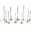 Load image into Gallery viewer, Ferrea Toyota/BMW B58 3.0L 30.1mm 4.97mm 99.15mm 19 Deg Tapr Flo STD Comp Plus Int Valve - Set of 12