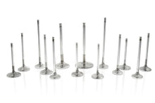 Load image into Gallery viewer, Ferrea Toyota/BMW B58 3.0L 30.1mm 4.97mm 99.15mm 19 Deg Tapr Flo STD Comp Plus Int Valve - Set of 12