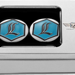 Load image into Gallery viewer, Figurati Designs Swing Arm Covers - Stainless Steel - Back View
