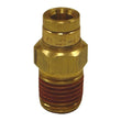 Load image into Gallery viewer, Firestone Male Connector 1/4in. Push-Lock x 1/4in. NPT Brass Air Fitting - 2 Pack (WR17603463) - Main Product View