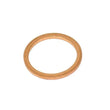 Load image into Gallery viewer, Fischer &amp; Plath Oil Drain Plug Seal - Main Product View