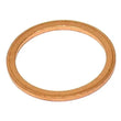 Load image into Gallery viewer, Fischer &amp; Plath Oil Drain Plug Seal - Side View