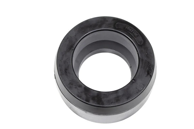 Fishbone Offroad 94-02 Dodge Ram 1500 2.0In Leveling Kit - Back View
