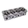 Load image into Gallery viewer, Fleece Performance 01-04 GM Duramax LB7 Freedom Cylinder Head w/Cupless Injector Bore (Pssgr Side) - Side View
