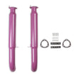 Load image into Gallery viewer, FlowTechFlowtech Purple Hornies Glasspack50232FLT - Main Product View
