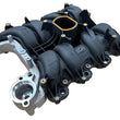 Load image into Gallery viewer, Ford Racing 01-04 Mustang GT 4.6L SOHC 2V Perf Improvement Intake Manifold (Req Manifold Gasket Set) - Back View