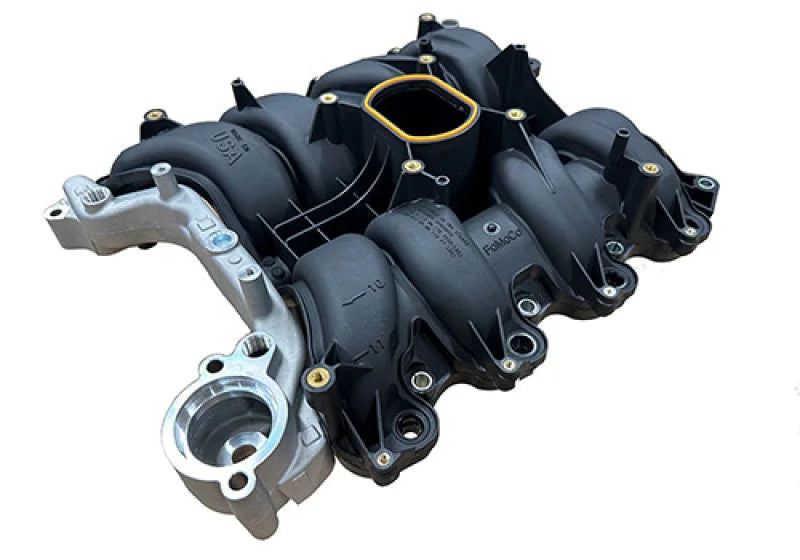 Ford Racing 01-04 Mustang GT 4.6L SOHC 2V Perf Improvement Intake Manifold (Req Manifold Gasket Set) - Back View