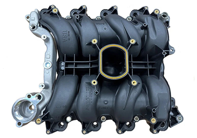 Ford Racing 01-04 Mustang GT 4.6L SOHC 2V Perf Improvement Intake Manifold (Req Manifold Gasket Set) - Installation View