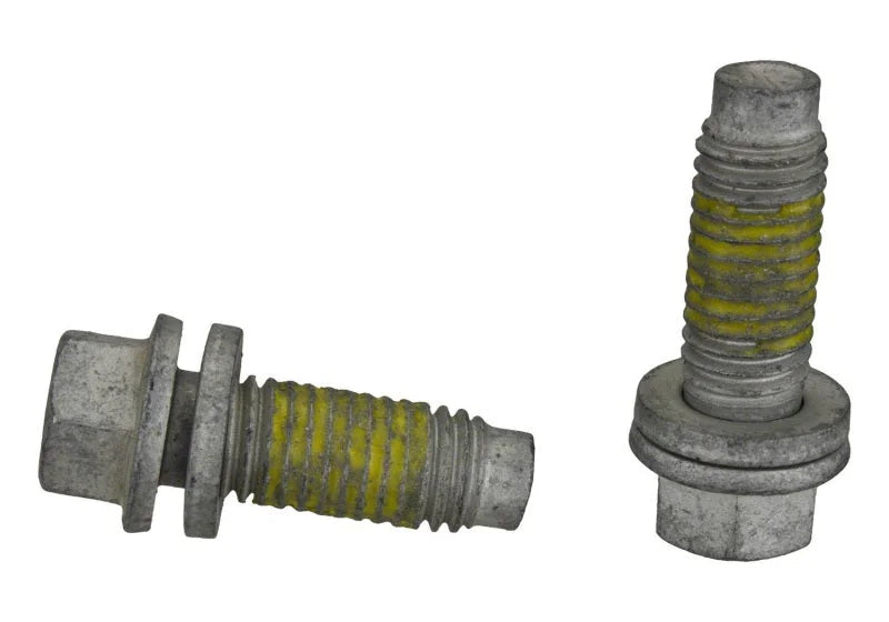 Ford Racing 11in Pressure Plate Bolt and Dowel Kit - Back View