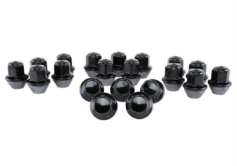 Ford Racing 15-18 Mustang Black Lug Nut Kit (20 Lug Nuts) - Back View