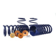 Load image into Gallery viewer, Ford Racing 15-23 Mustang GT/2.3L EcoBoost Fastback Track Lowering Spring Kit (Excl MagneRide Susp) - Main Product View
