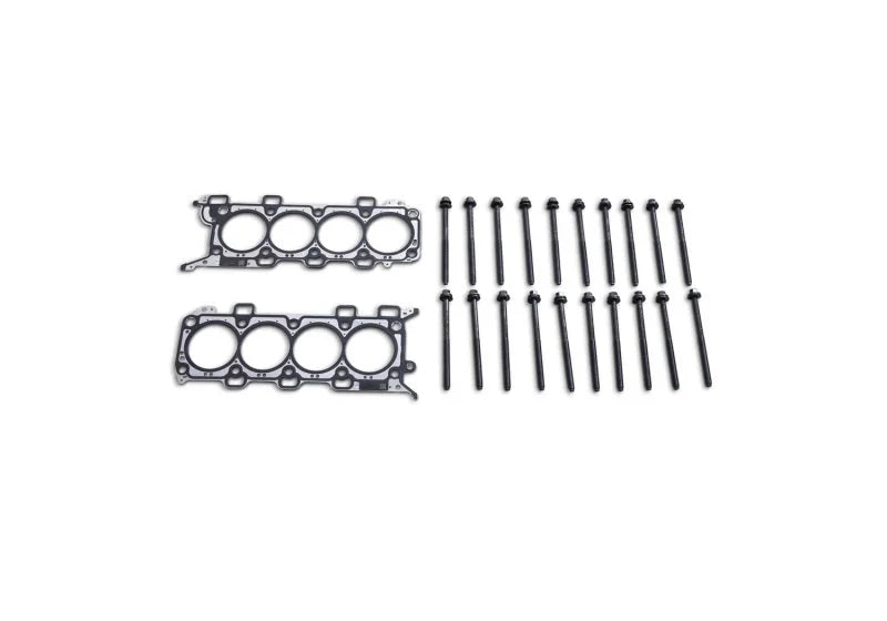 Ford Racing 18-21 5.0L Coyote Head Changing Kit - 12mm Head Bolts - Back View
