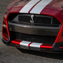 Load image into Gallery viewer, Ford Racing 20-21 Mustang GT500 Carbon Fiber Bumper Insert - Back View