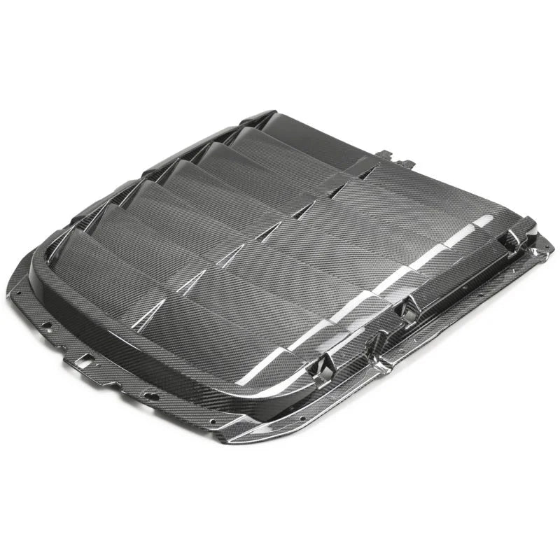 Ford Racing 20-22 Mustang GT500 Carbon Fiber Hood Vent Kit - Main Product View