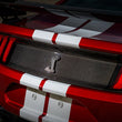 Load image into Gallery viewer, Ford Racing 20-22 Mustang GT500 Deck Lid Trim Panel - Installation View