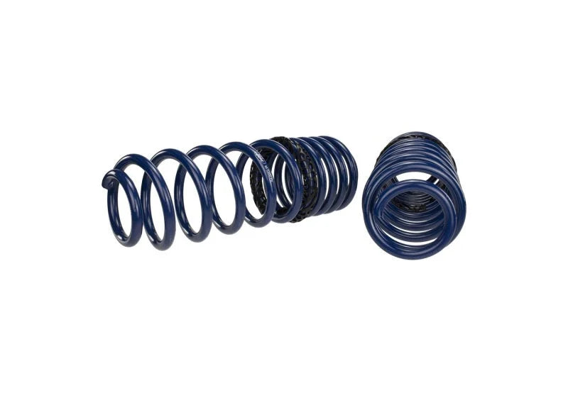 Ford Racing 2005-2014 Mustang GT 1.0in. Track Lowering Springs - Back View