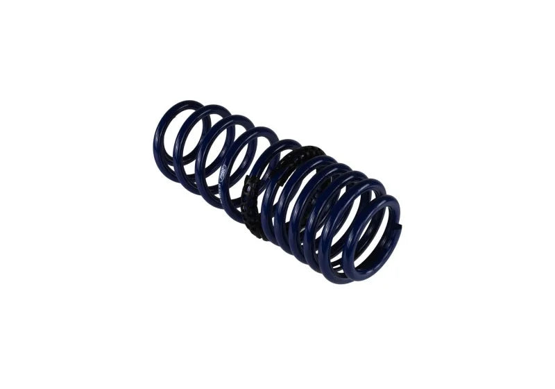 Ford Racing 2005-2014 Mustang Spring Kit 1.5in Drop - Back View