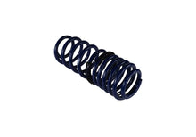 Load image into Gallery viewer, Ford Racing 2005-2014 Mustang Spring Kit 1.5in Drop - Back View