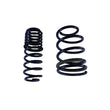 Load image into Gallery viewer, Ford Racing 2005-2014 Mustang Spring Kit 1.5in Drop - Additional View 5