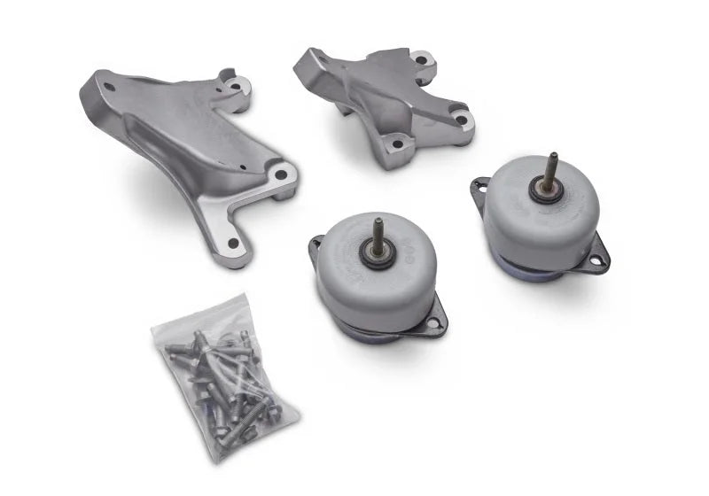 Ford Racing 2011-2015 Mustang GT 5.0L Coyote Engine Swap Mounts - Side View