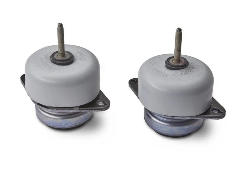 Ford Racing 2011-2015 Mustang GT 5.0L Coyote Engine Swap Mounts - Back View