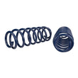 Load image into Gallery viewer, Ford Racing 2013 Cobra Jet Spring Kit - Back View