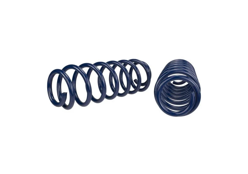 Ford Racing 2013 Cobra Jet Spring Kit - Back View