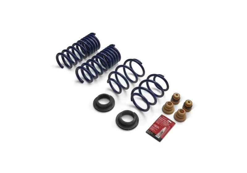 Ford Racing 2024 Mustang GT Coupe (w/Passive Suspension) Track Lowering Spring Kit - Back View