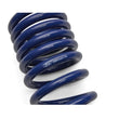 Load image into Gallery viewer, Ford Racing 2024 Mustang GT Coupe (w/Passive Suspension) Track Lowering Spring Kit - Additional View 5