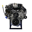 Load image into Gallery viewer, Ford Racing 2024 Super Duty 7.3L Gasoline Crate Engine (No Cancel/No Returns) - Main Product View
