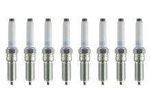 Load image into Gallery viewer, Ford Racing 21-25 F-150 5.0L Coyote (w/Variable Displacement) Cold Spark Plug Set - Side View
