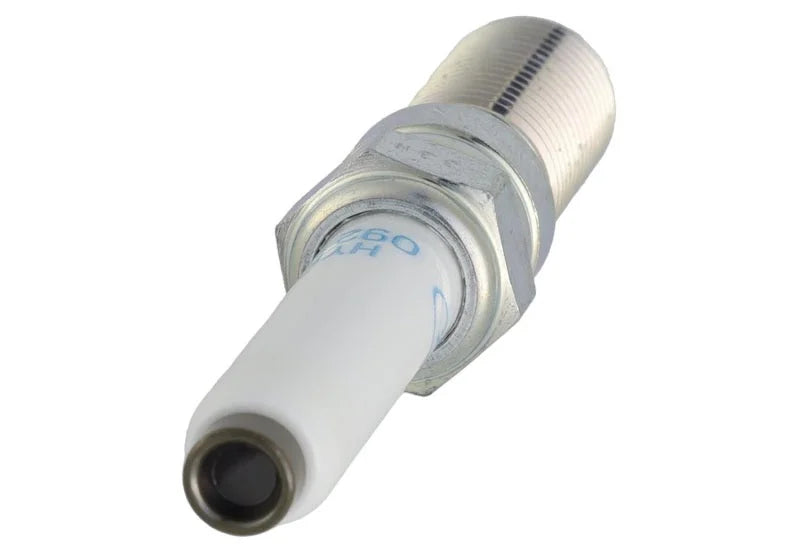 Ford Racing 21-25 F-150 5.0L Coyote (w/Variable Displacement) Cold Spark Plug Set - Back View