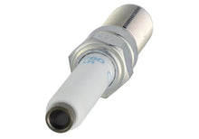 Load image into Gallery viewer, Ford Racing 21-25 F-150 5.0L Coyote (w/Variable Displacement) Cold Spark Plug Set - Back View