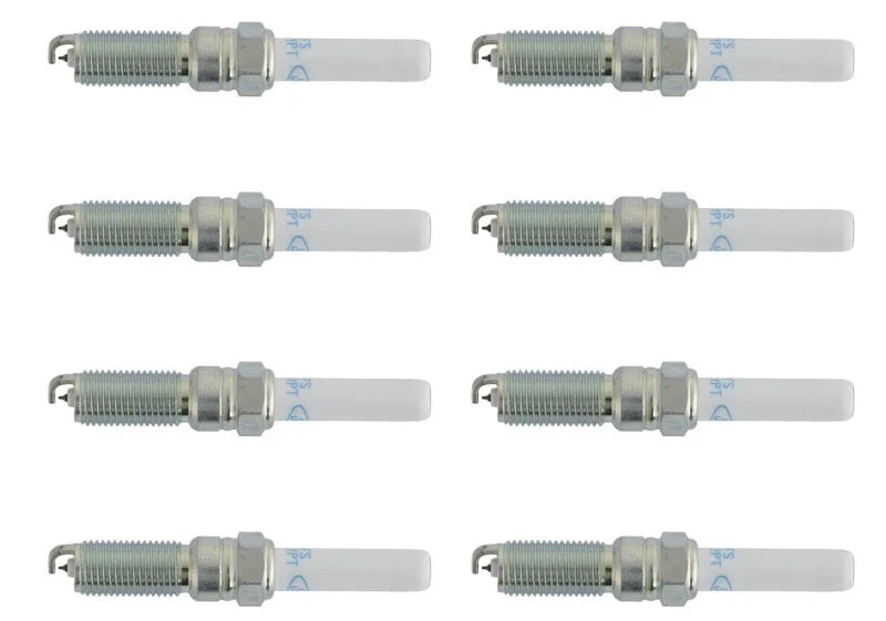 Ford Racing 21-25 F-150 5.0L Coyote (w/Variable Displacement) Cold Spark Plug Set - Additional View 5