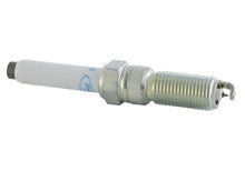 Load image into Gallery viewer, Ford Racing 21-25 F-150 5.0L Coyote (w/Variable Displacement) Cold Spark Plug Set - Additional View 9