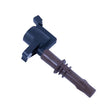 Load image into Gallery viewer, Ford Racing 4.6L/5.4L 3V Ignition Coil Set - Main Product View