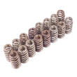 Load image into Gallery viewer, Ford Racing BOSS 302R Valve Spring Kit - Main Product View
