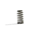 Load image into Gallery viewer, Ford Racing BOSS 302R Valve Spring Kit - Back View