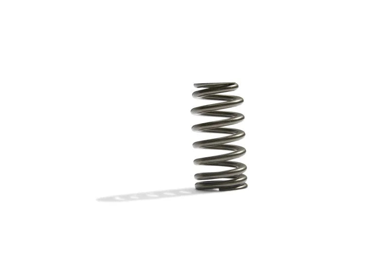 Ford Racing BOSS 302R Valve Spring Kit - Back View