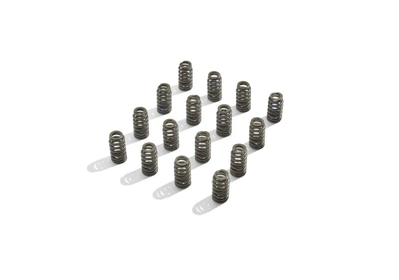 Ford Racing BOSS 302R Valve Spring Kit - Additional View 5