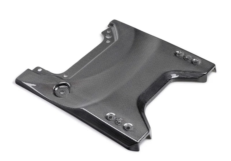 Ford Racing Carbon Fiber Tailgate Applique - Gloss fits 2022-2025 Ford Bronco RAPTOR - Main Product View