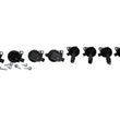 Load image into Gallery viewer, Ford Racing Coyote 5.0L V8 (Fits 2/24/16 And Later Mustang GT/F-150 4V Ti-VCT) Ignition Coil Set - Side View